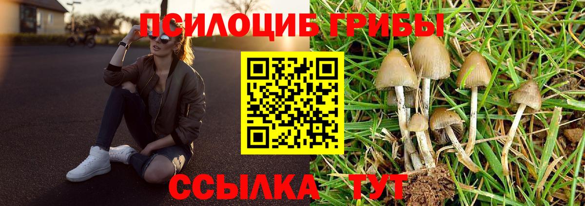 Улан-Удэ  Псилоцибиновые грибы Psilocybine cubensis  Вход с VPN 